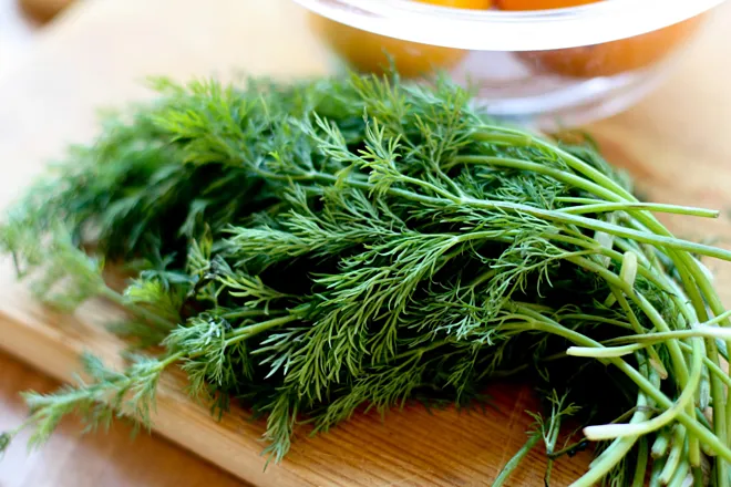 Cách trị hôi miệng vĩnh viễn bằng rau thì là