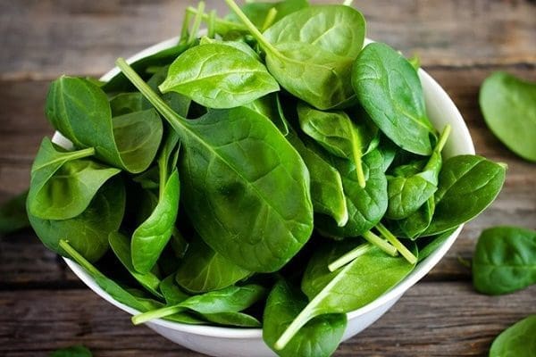 Trị hôi miệng bằng rau bina Trị hôi miệng bằng rau bina