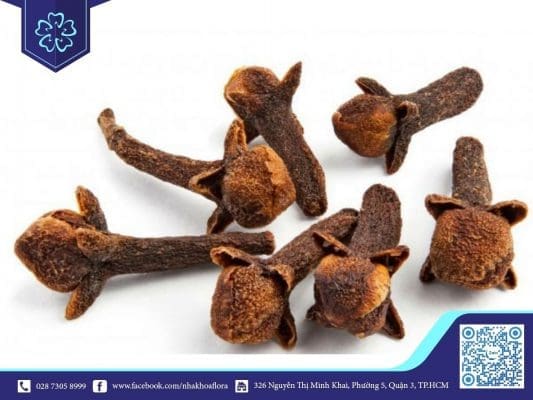Đinh hương giúp giảm cơn đau răng khôn hiệu quả (ảnh minh họa) Đinh hương giúp giảm cơn đau răng khôn hiệu quả (ảnh minh họa)