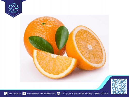 bo-sung-thuc-pham-giau-vitamin-c-de-tang-cuong-suc-khoe-rang-mieng Bổ sung thực phẩm giàu vitamin C để tăng cường sức khỏe răng miệng
