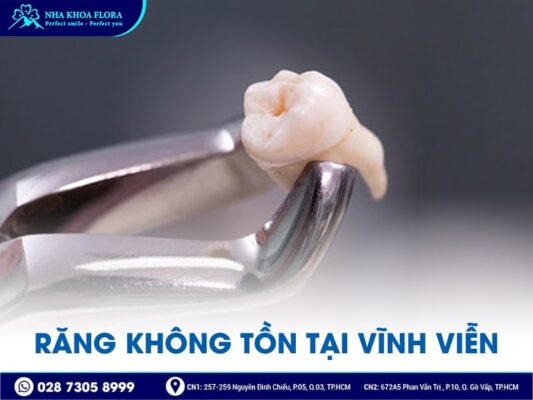 những điều cần biết về răng - ảnh 5 những điều cần biết về răng - ảnh 5