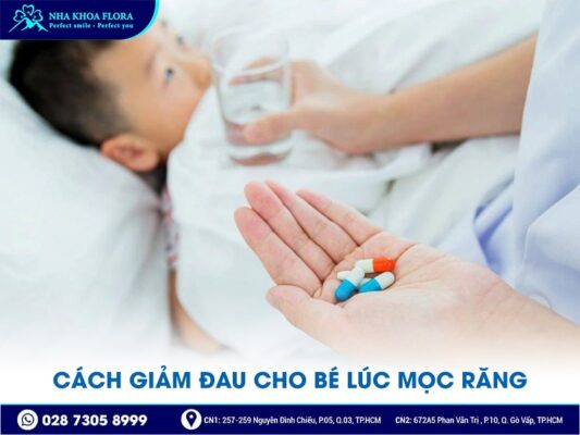 Khi nào trẻ mọc răng - ảnh 3 Khi nào trẻ mọc răng - ảnh 3