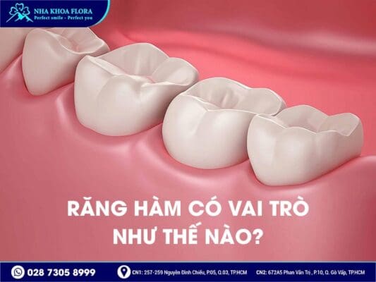 mất răng hàm lâu năm - ảnh 1 mất răng hàm lâu năm - ảnh 1