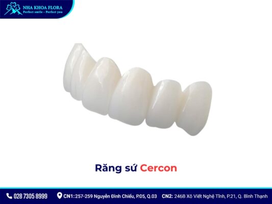 So sánh răng sứ Cercon và Zirconia - ảnh 2 So sánh răng sứ Cercon và Zirconia - ảnh 2
