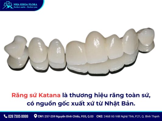 Sứ Katana - ảnh 1 Sứ Katana - ảnh 1
